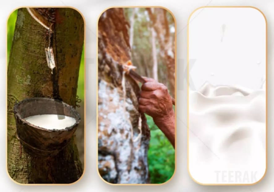 ラテックスマットレス タイ